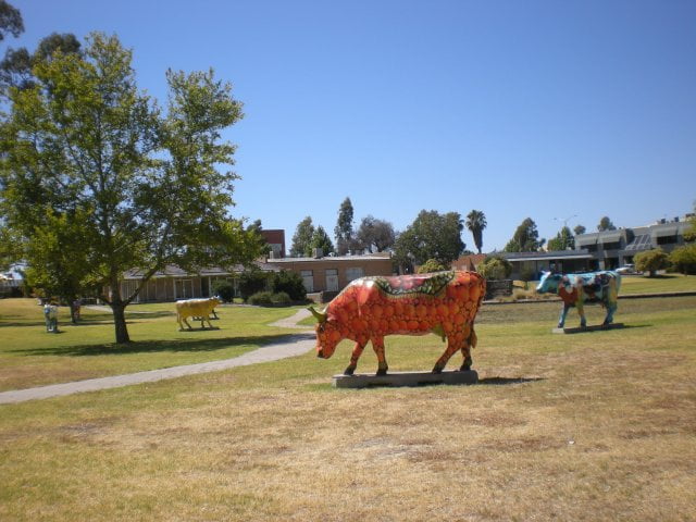 Shepparton - Painted Cows
