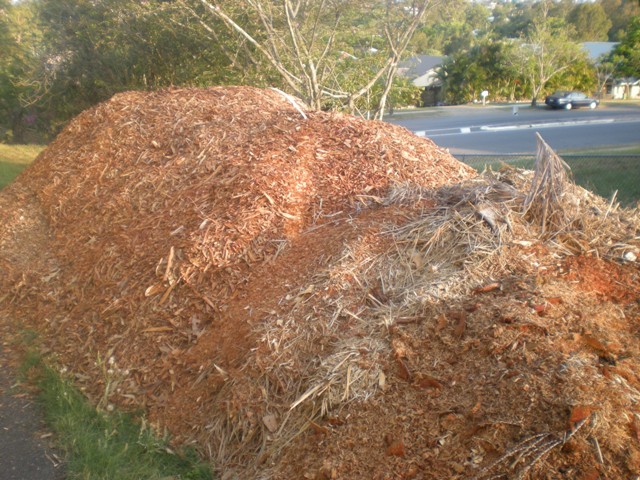 woodchip pile