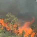 bushfires