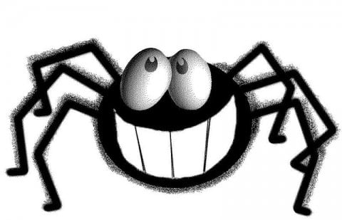 cartoon spider