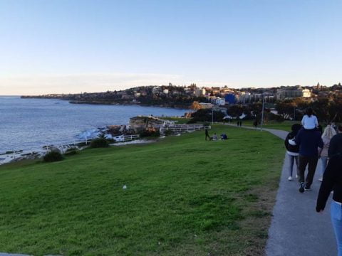 To Coogee